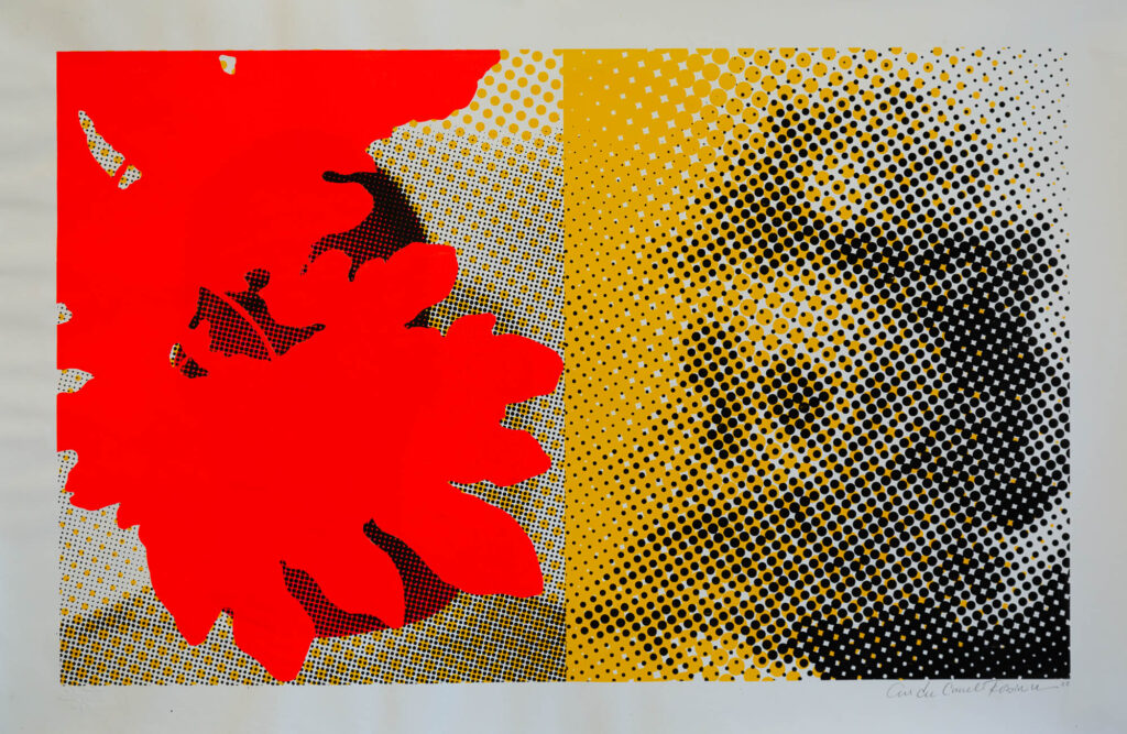 Image of a print titled Vanitas 6 by Andrew Cornell Robinson. The composition includes a pattern of half tone dots in yellow and black rendering a bilateral composition split in half vertically, on the left is a portrait of the artist obscured by a bright neon orange paper that is collaged over the face using a printing technique called Chine-collé. The shape of this paper is in a silhouette of multiple fig leaves. On the right side of the composition is a half tone image of a human skull and flowers, aka a Vanitas. Silkscreen with Chine-collé, on cotton rag paper 24 x 36 inches 2022