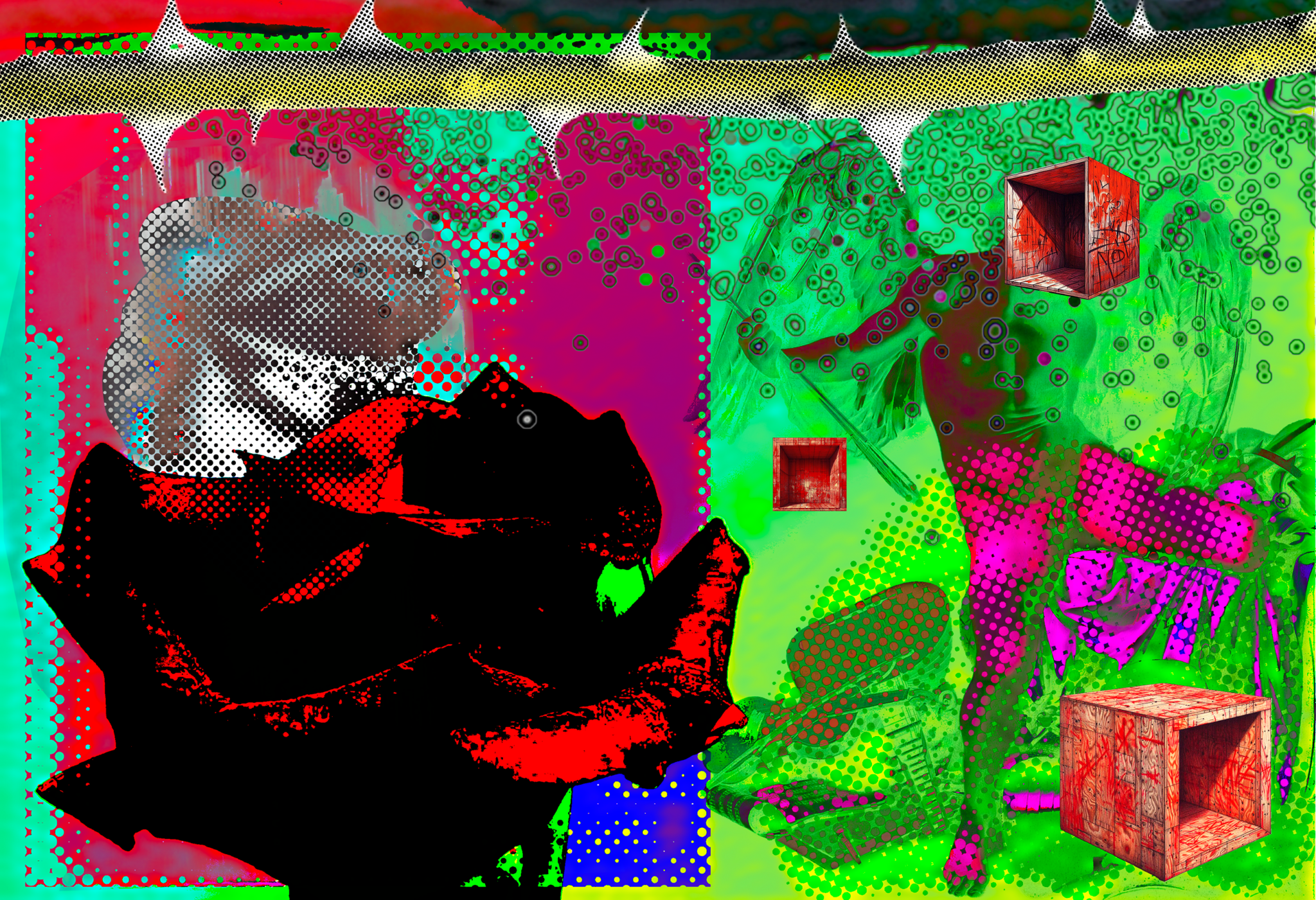 Fantabulosas 16 January 2026 (Rose)