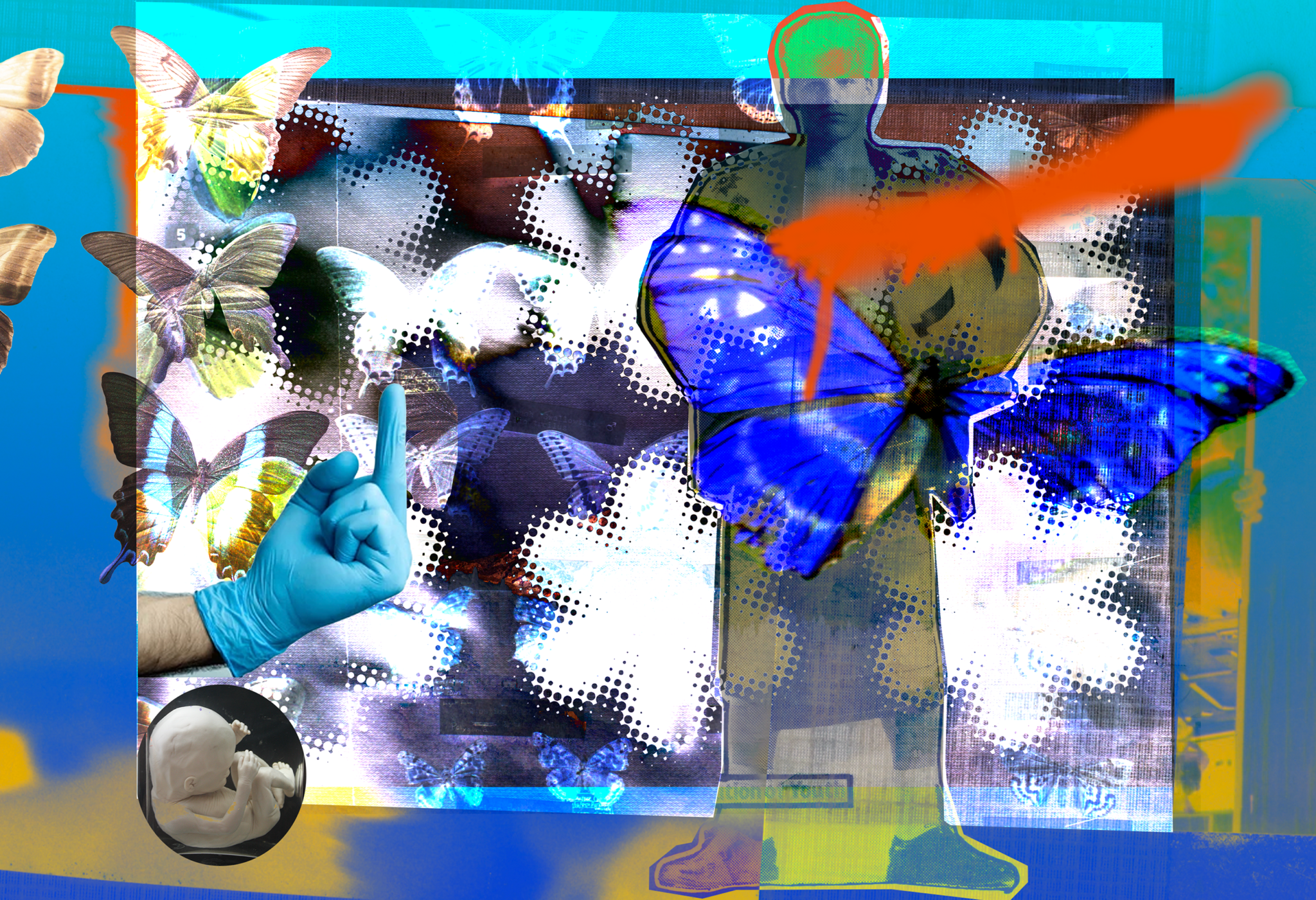 Fantabulosas 17 January 2026 (Mariposa)